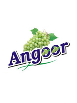 product name
